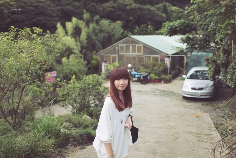 陽明山竹子湖半日漫步