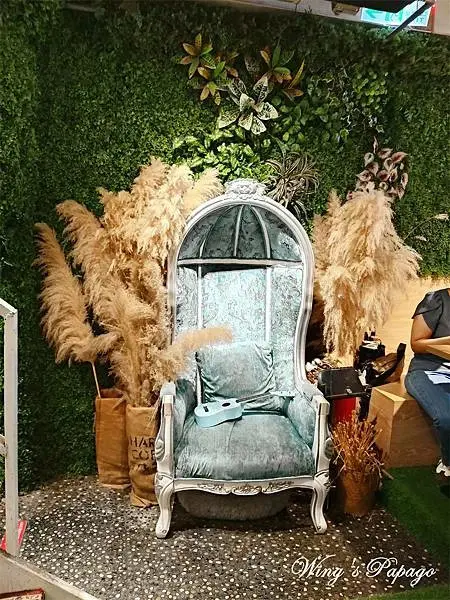 台北不限時咖啡廳，奧蘿茉咖啡館，網美渡假風餐廳，貓咪咖啡廳，