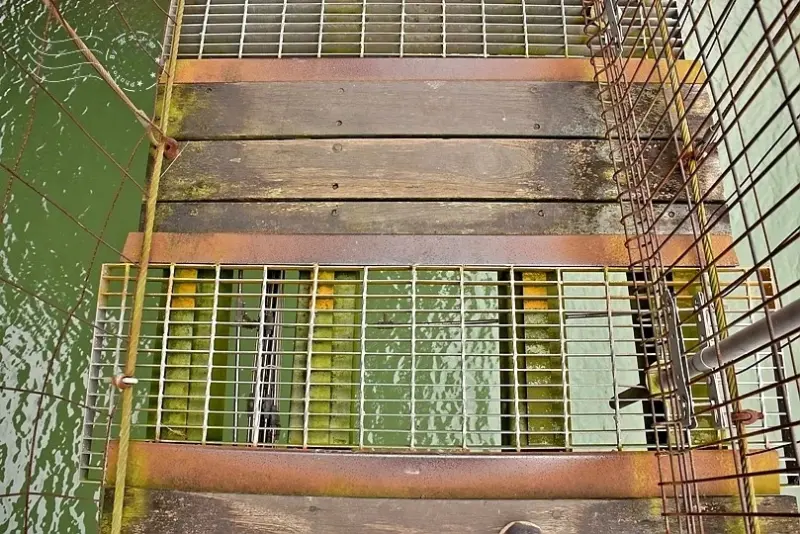 慶和橋津梅棧道