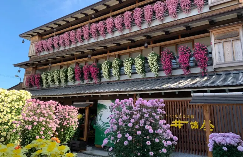 日本最古老菊花祭！茨城笠間稻荷神社第118屆菊祭11月24日免費入場，菊人形、和傘打卡點美炸了。