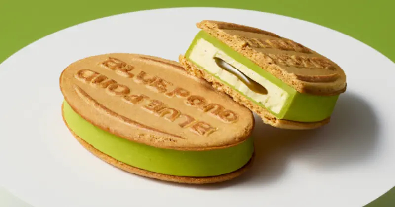 北海道必買伴手禮 BLUE POND 插旗大丸札幌！開心果奶油焦糖三明治必買，推薦品項一次看。