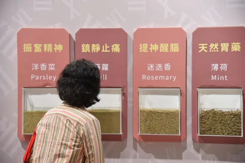 嘉義梅山一日遊行程推薦｜金牌農村太平社區 太平雲梯 太平老街