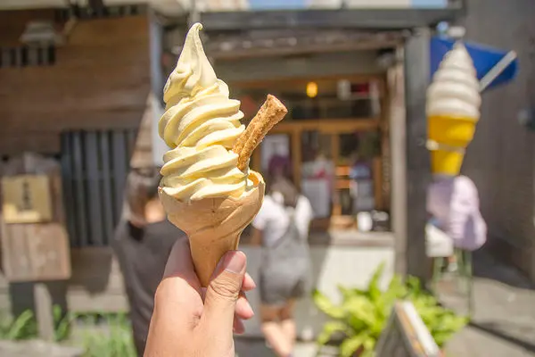 彰化‧鹿港 | 鹿港神秘「食驗所」，新鮮手作ice cream