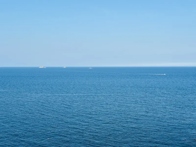 【2025馬祖漫島生活｜尋步馬祖GO! 踩點活動體驗】北竿芹