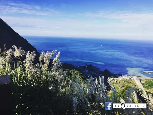 [新北．瑞芳]今年秋天CP值最高的芒花步道~報時山步道!!!