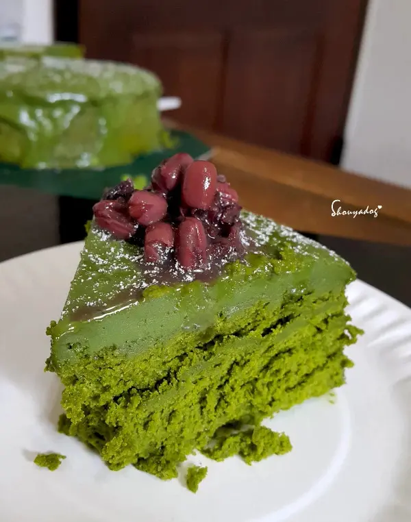 大家源 雙電壓便攜料理鍋 TCY-372202 旅行露營的好