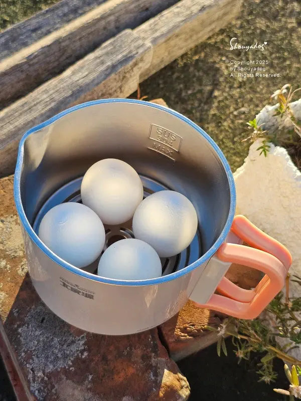 大家源 雙電壓便攜料理鍋 TCY-372202 旅行露營的好