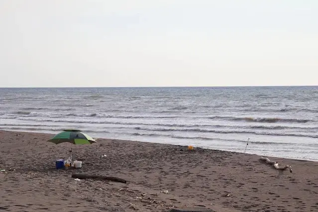 新屋濱海林蔭沙洲 (西濱公路)