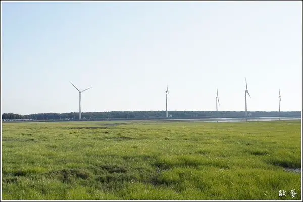 清水區︱台中看夕陽的好地方之高美溼地 Kaomei Wetland