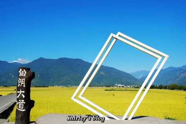 台東‧伯朗大道