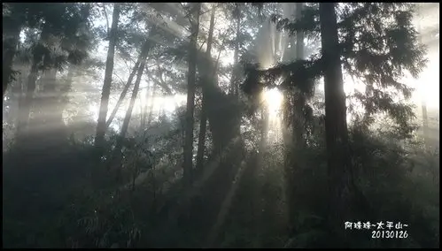 宜蘭大同。太平山山林之美