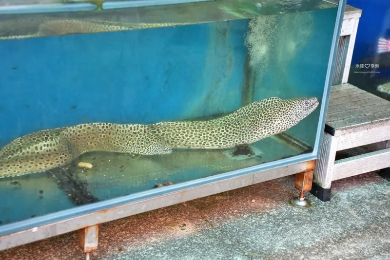 屏東墾丁後壁湖-富美海鮮餐廳