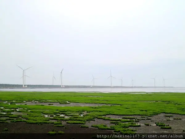 【台中旅遊】假日親子玩耍好地方，高美濕地
