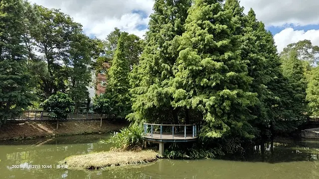 2025桃園長庚養生村落羽松最新現況分享，9/27現場直擊，