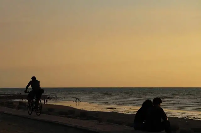新屋濱海林蔭沙洲 (西濱公路) - 夕陽