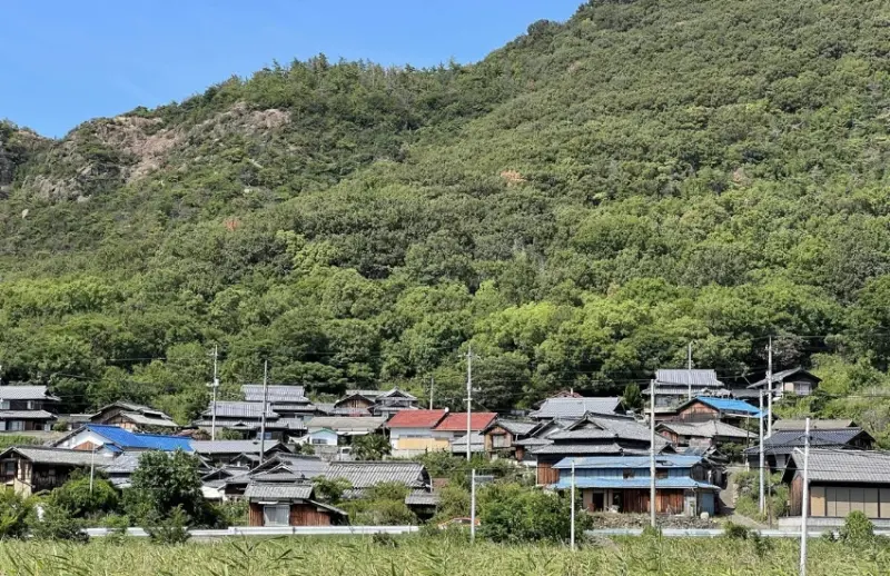 超越觀光的藝術島嶼！在瀨戶內豐島，連水珠、稻田、橄欖豬都能成為一場藝術。