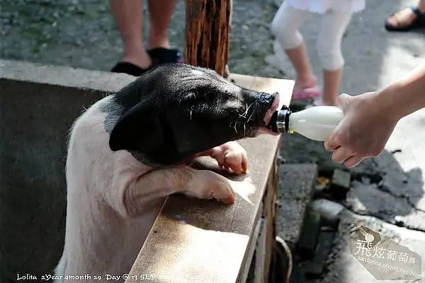 跟著鐵人玩宜蘭|| CP值