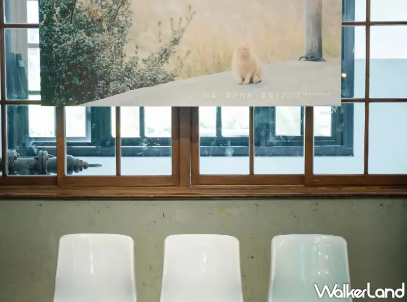 松山文創園區「2025松市」連假登場！逾30品牌市集、限定好禮、攝影展與音樂派對一次逛。