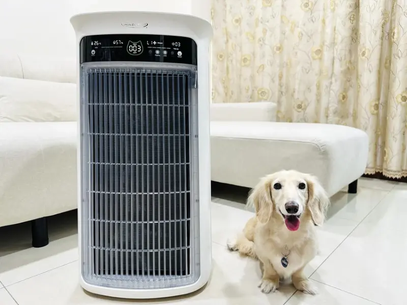 SoleusAir 吸毛大師宅配開箱｜長毛臘腸家必備的毛髮救