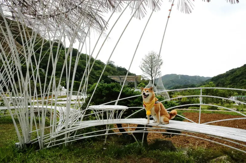 新北萬裡新景點推薦！亮山川景觀休閒園區，戲水新秘境，佔地很大