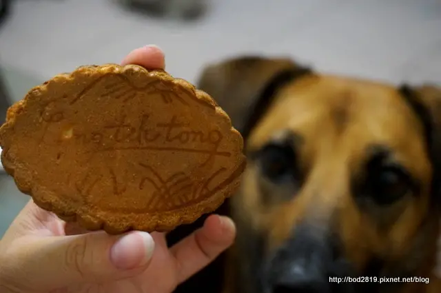 【台南北區&安平】連德堂餅家&得意蝦餅－傳統手工的好滋味，台南必買伴手禮！
