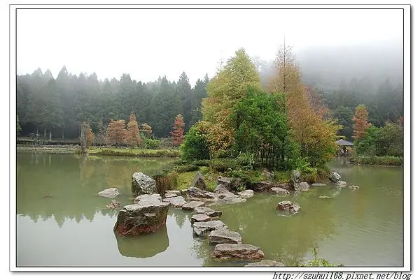 ☆宜蘭☆明池森林遊樂區賞楓趣