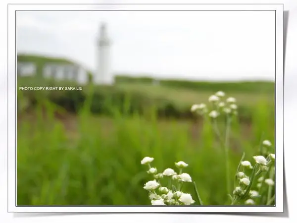 【東台灣。花蓮】秘境。奇萊鼻燈塔