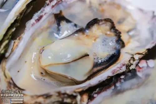 府城騷烤家|台南市/東區(在地台南人的深夜食堂，新鮮火烤好滋味)