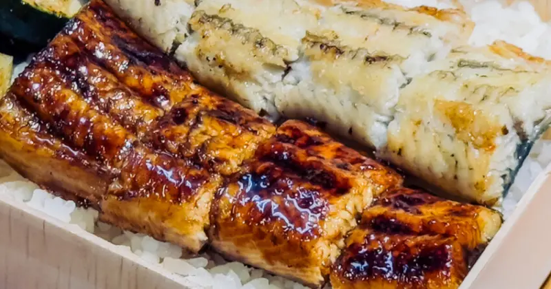 高雄必吃日式鰻魚飯！龍華市場隱藏版鰻魚飯，好吃又奢華。