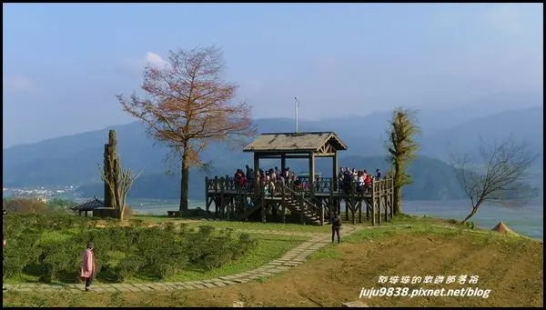 宜蘭大同。玉蘭茶園/落羽松/櫻花/茶園春色無邊/好吃的煙燻滷味和茶餐
