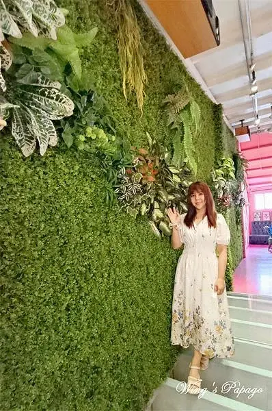 台北不限時咖啡廳，奧蘿茉咖啡館，網美渡假風餐廳，貓咪咖啡廳，