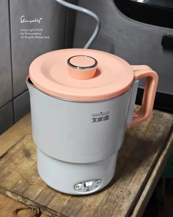 大家源 雙電壓便攜料理鍋 TCY-372202 旅行露營的好