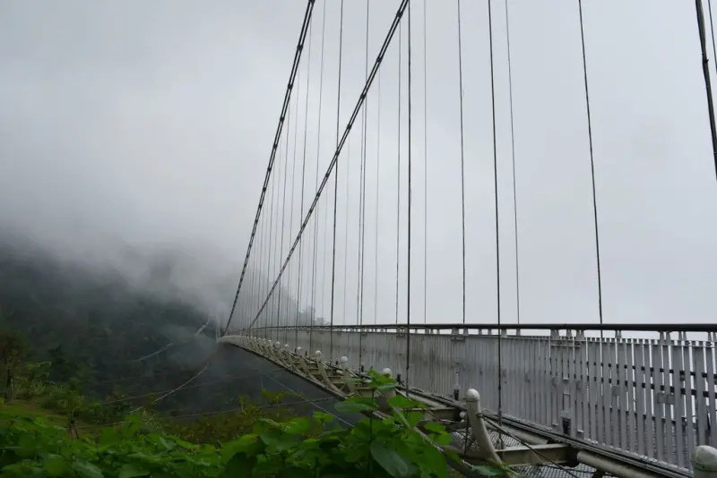 嘉義梅山一日遊行程推薦｜金牌農村太平社區 太平雲梯 太平老街