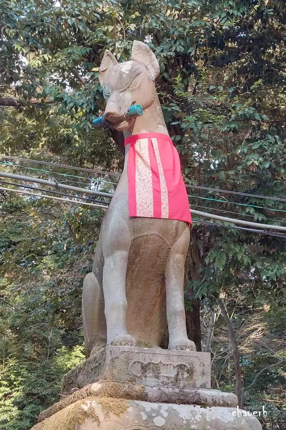日本京都-伏見稻荷大社《 千本鳥居 ︱熊鷹社︱鳥居 白狐繪馬