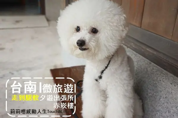 ❤ 台南 ❤ 夕遊出張所 赤崁樓 逛完古蹟吃鹽巴!!