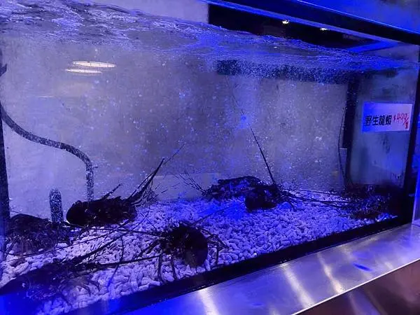 “三重國小捷運站鍋物美食推薦-海牧鍋物”吃飽喝足的海鮮漁夫鍋