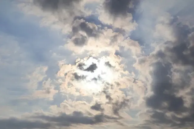 新屋濱海林蔭沙洲 (西濱公路)