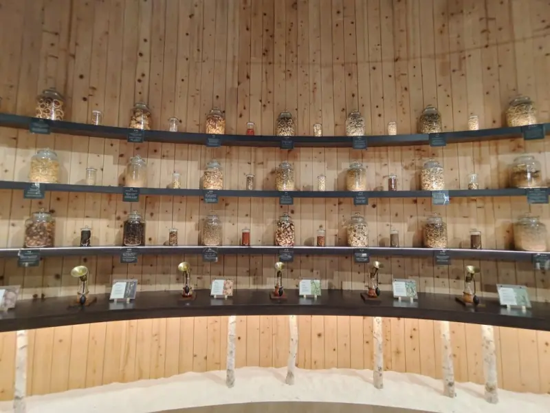 嘉義梅山一日遊行程推薦｜金牌農村太平社區 太平雲梯 太平老街