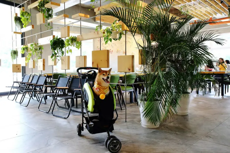 新北萬裡新景點推薦！亮山川景觀休閒園區，戲水新秘境，佔地很大