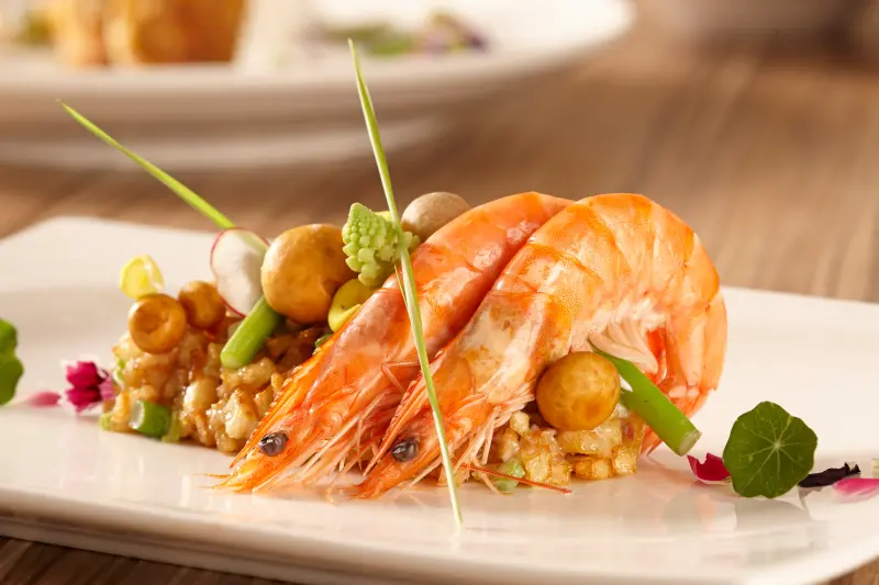 【狠蝦】豪爽吃到飽的精緻全蝦料理