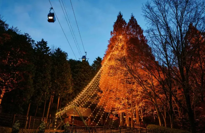 神戶最強聖誕市集！布引香草園海拔400公尺古城、纜車賞景和德國市集，夢幻氛圍直接封神。