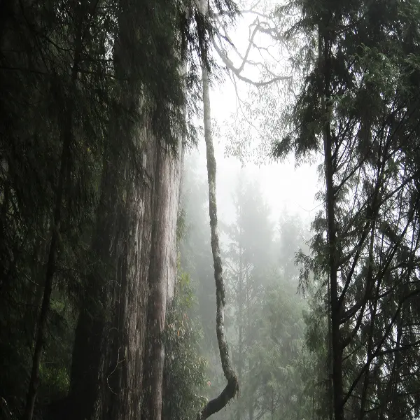 涼爽初秋棲蘭泡湯二日遊