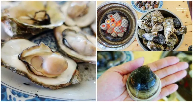 台南親子旅遊 ▶ 龍海號 七股潟湖生態體驗之旅 ▶ 搭船遊潟湖・探索生態・探索無人島・烤牡蠣吃到飽 #台南一日遊