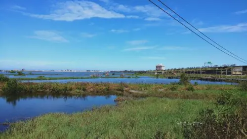 成龍濕地，捨不得離去的生態美景。