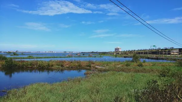 成龍濕地，捨不得離去的生態美景。