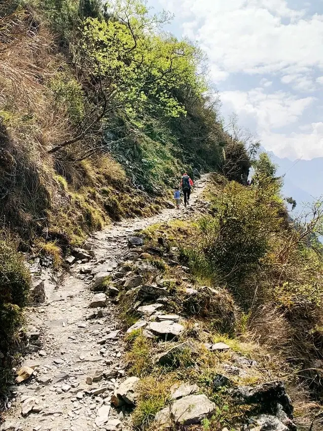 【百岳】玉山前峰(二刷)一日單攻《 3個小隊友(3歲7歲