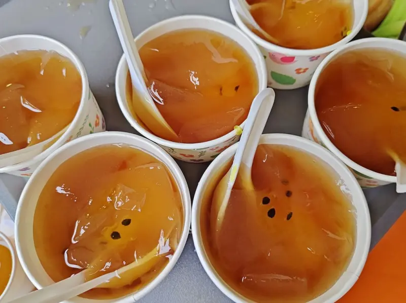 嘉義梅山一日遊行程推薦｜金牌農村太平社區 太平雲梯 太平老街