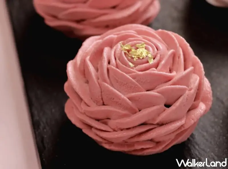 Rosé喝50嵐登熱搜！BLACKPINK演唱會熱潮延燒，承億酒店粉光應援、高雄洲際推玫瑰蛋糕致敬女神魅力。