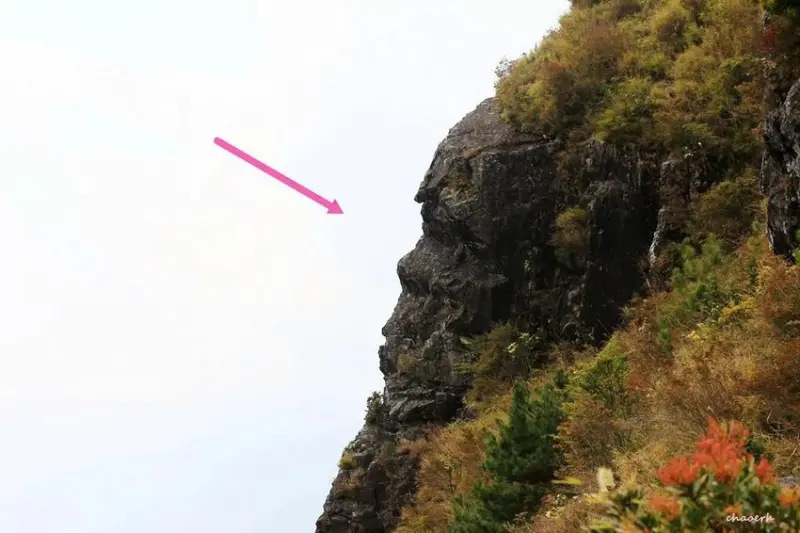 【百岳】玉山前峰(二刷)一日單攻《 3個小隊友(3歲7歲