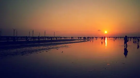 高美溼地~~豐富的生態景觀，絕美的夕陽景色